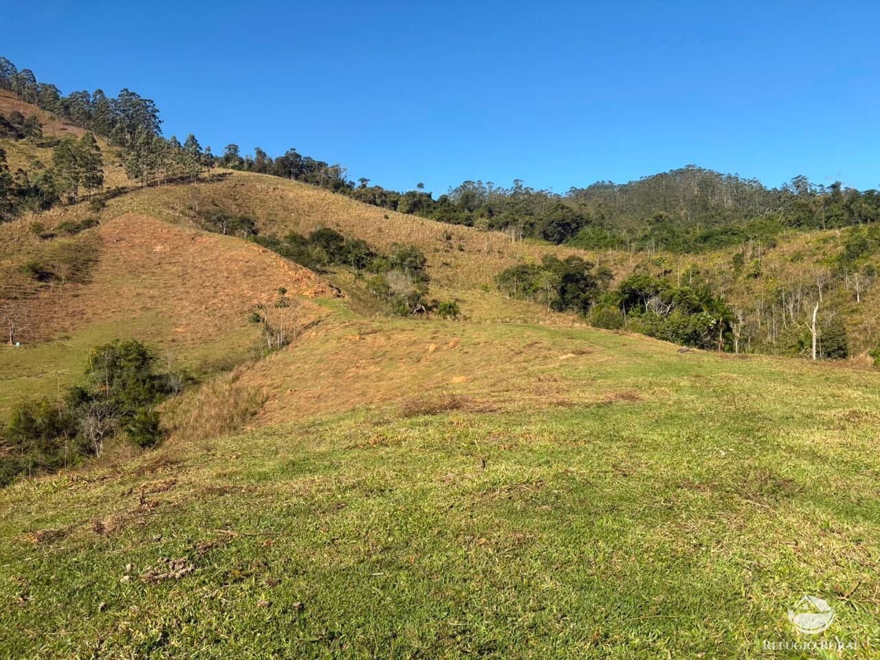 Sítio, 13 hectares - Foto 11