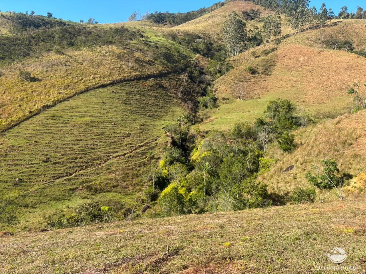 Sítio, 13 hectares - Foto 8