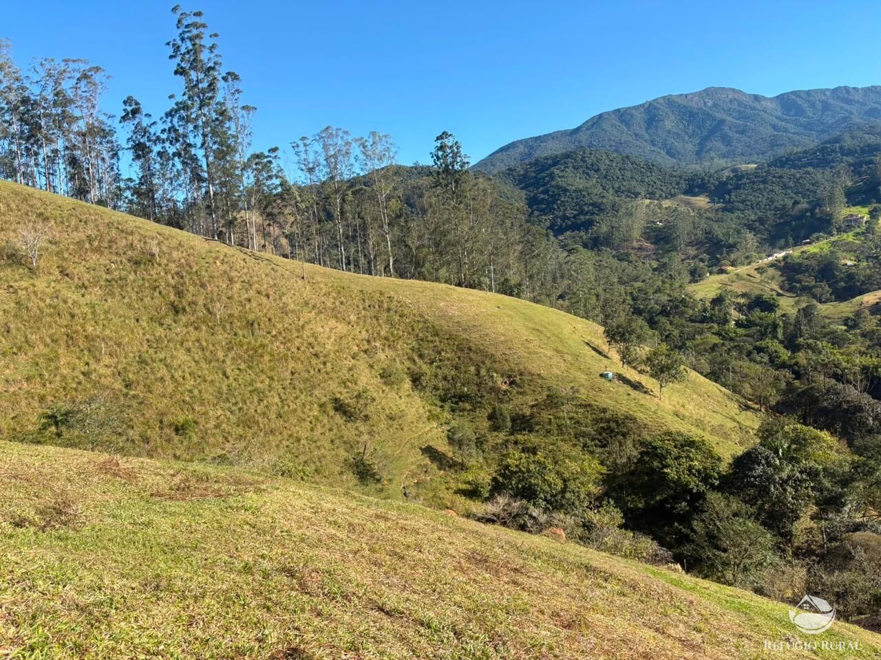Sítio, 13 hectares - Foto 14
