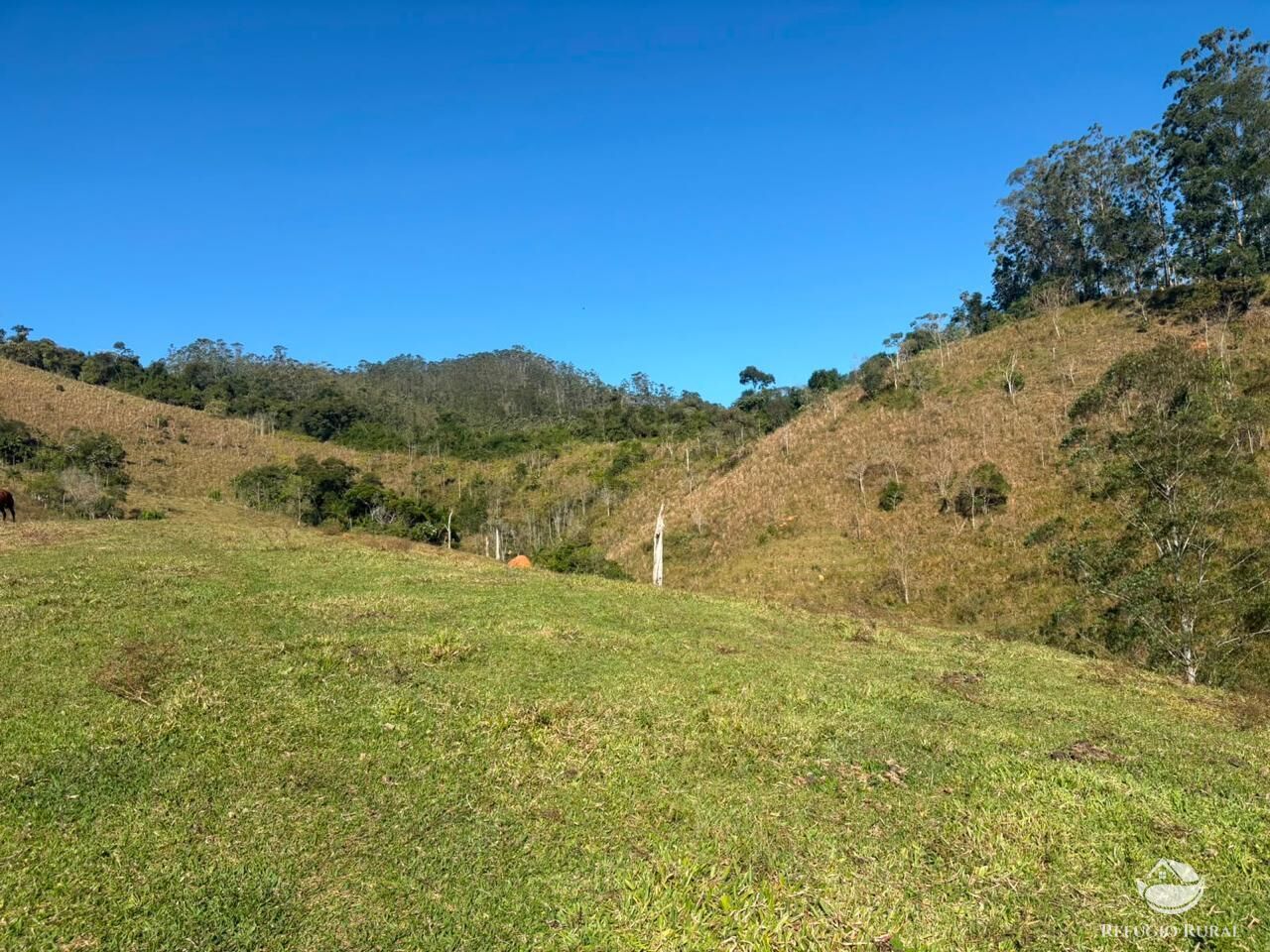 Sítio, 13 hectares - Foto 16