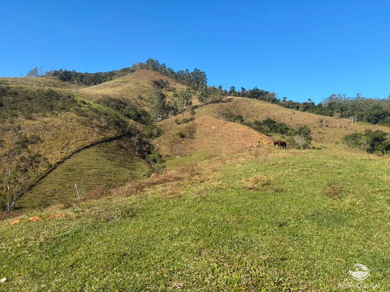 Sítio, 13 hectares - Foto 17