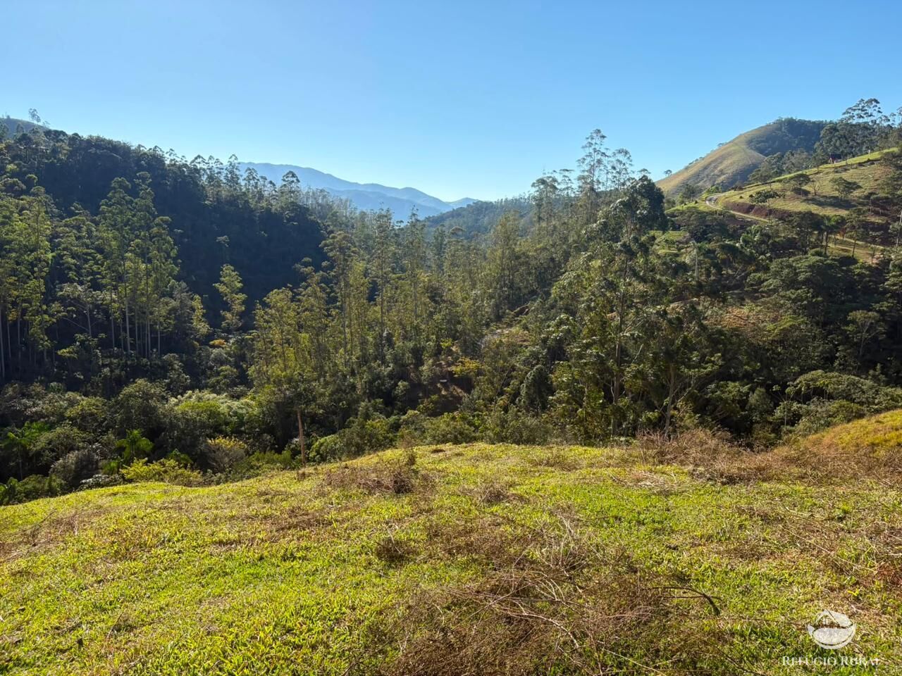 Sítio, 13 hectares - Foto 18