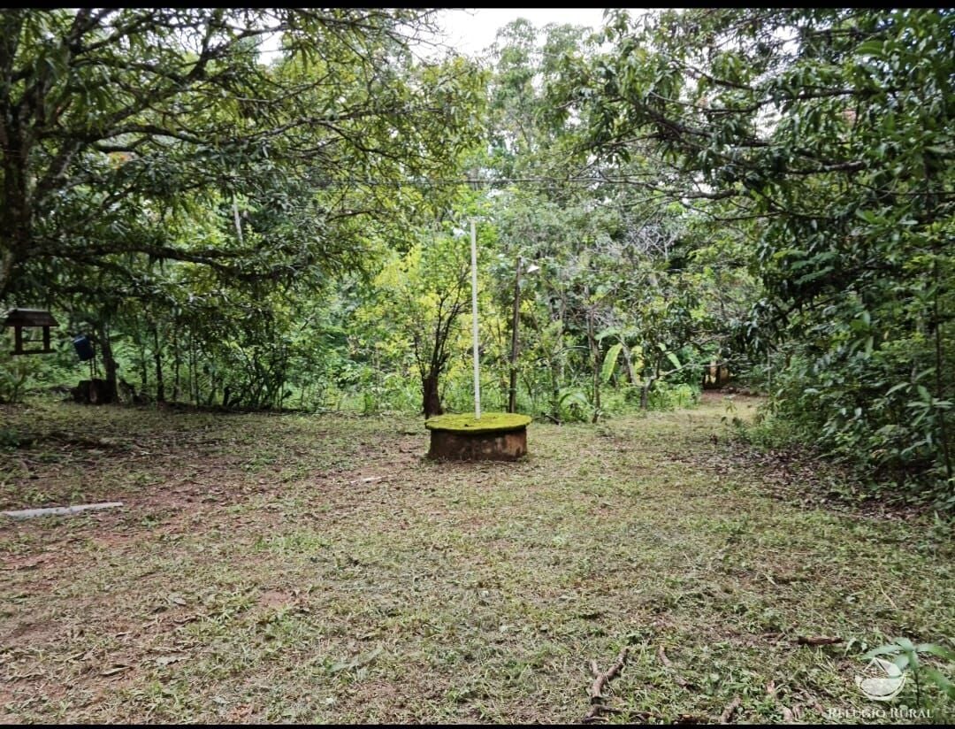 Chácara, 2 hectares - Foto 8