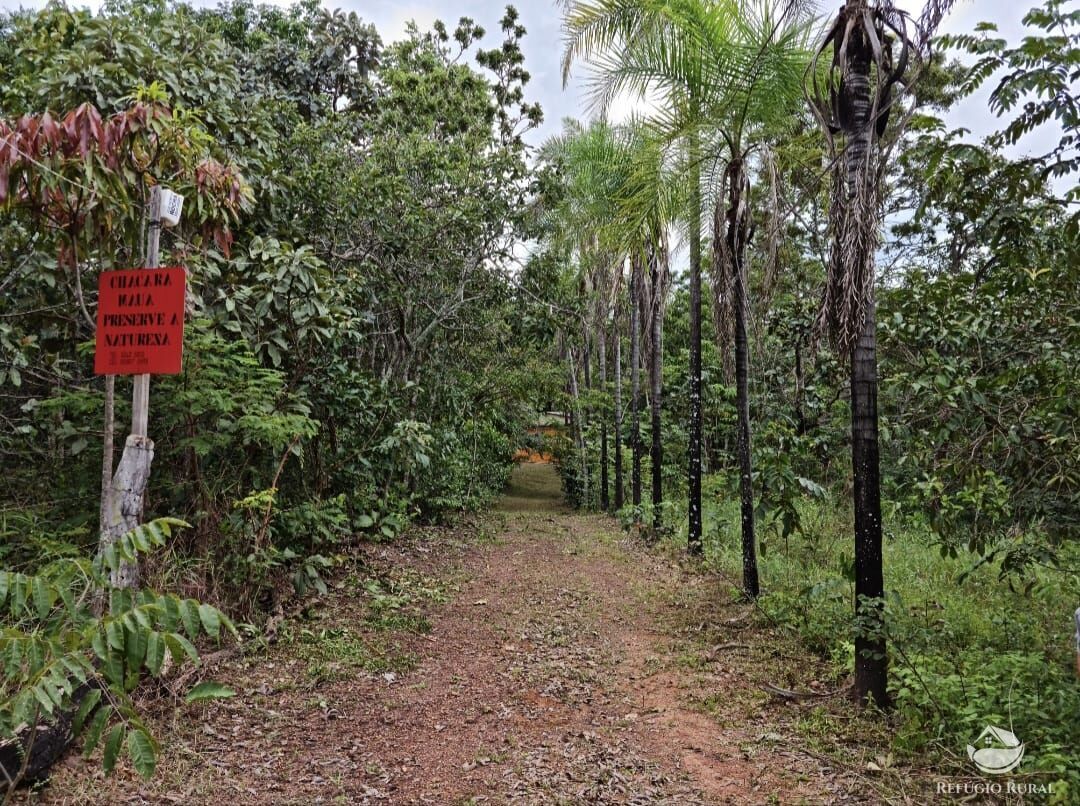 Chácara, 2 hectares - Foto 14
