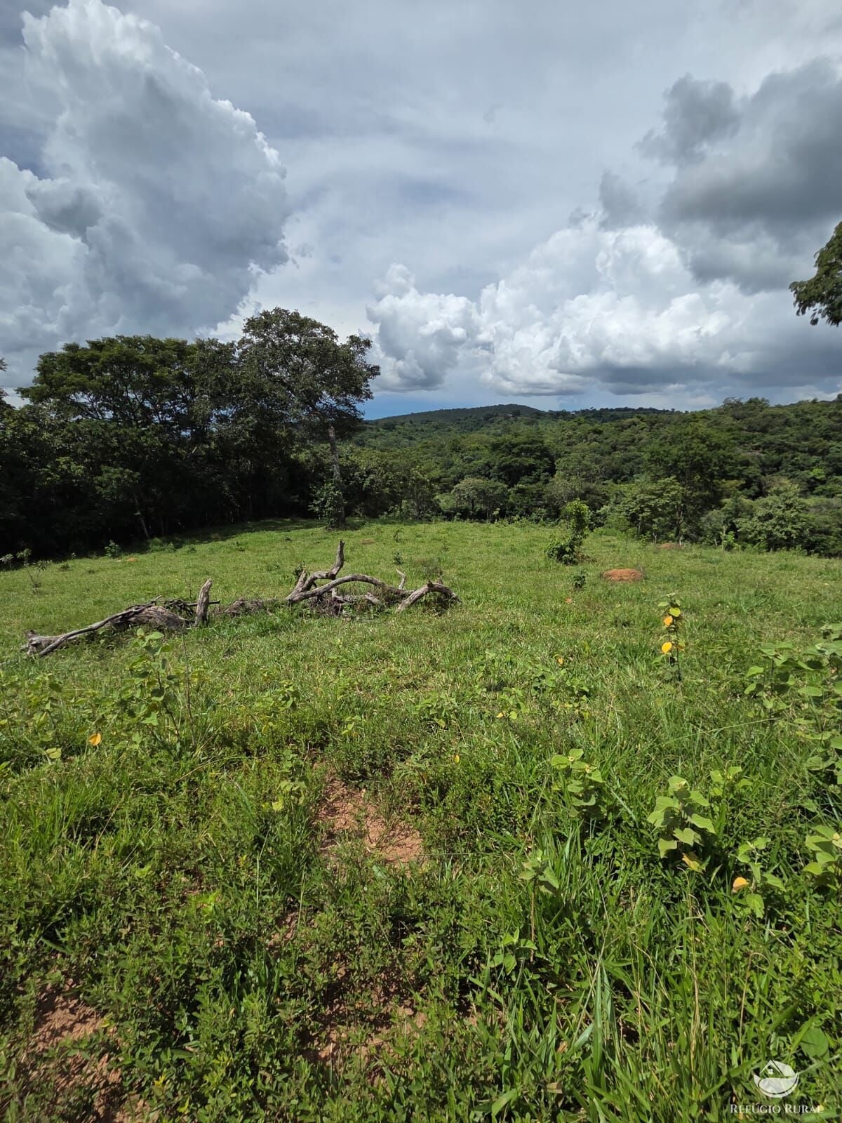 Fazenda, 363 hectares - Foto 44