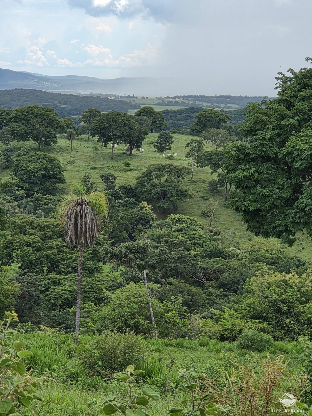 Fazenda, 363 hectares - Foto 21