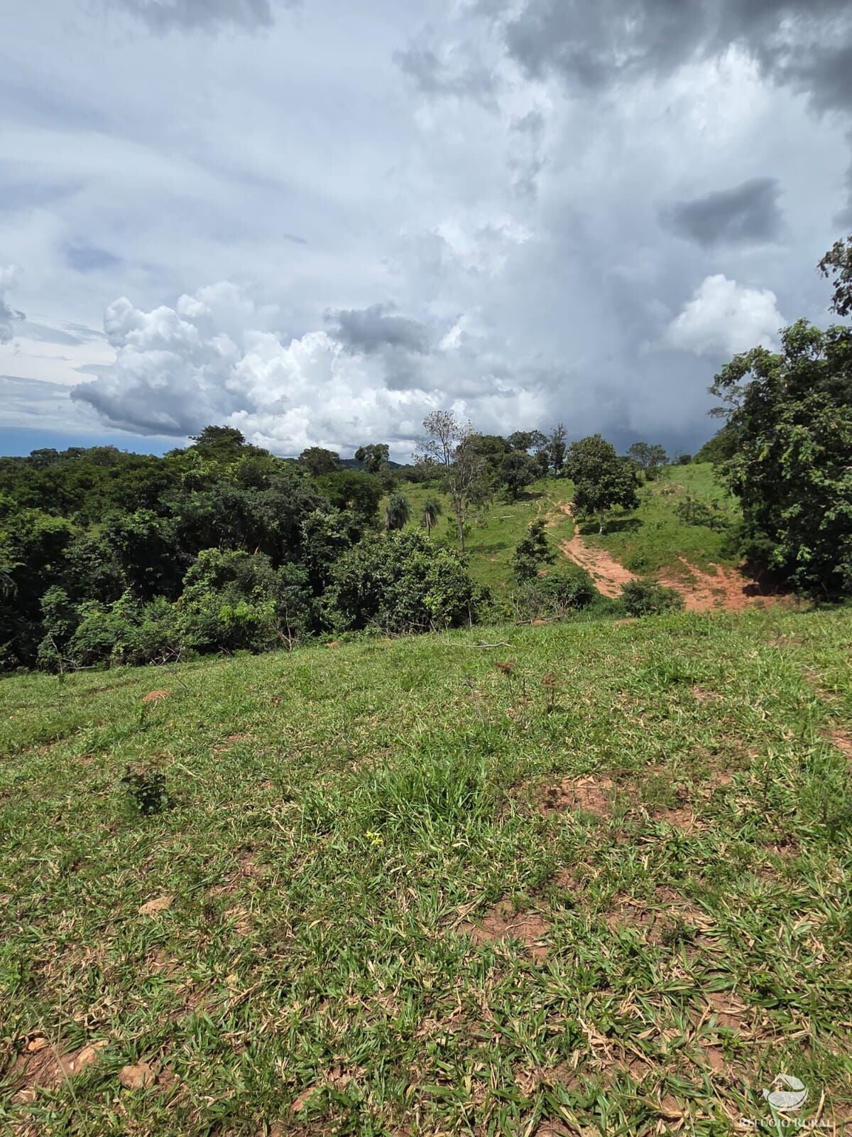 Fazenda, 363 hectares - Foto 13