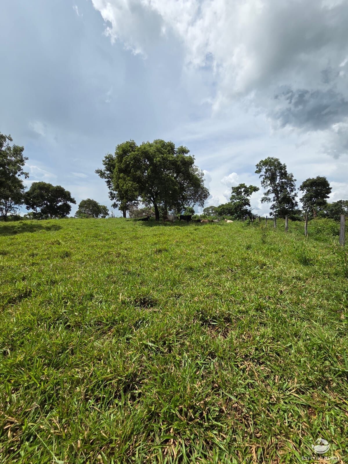Fazenda, 363 hectares - Foto 45