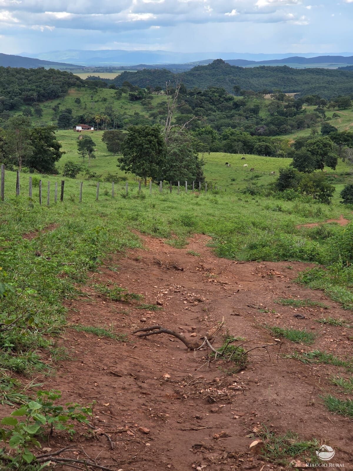 Fazenda, 363 hectares - Foto 29