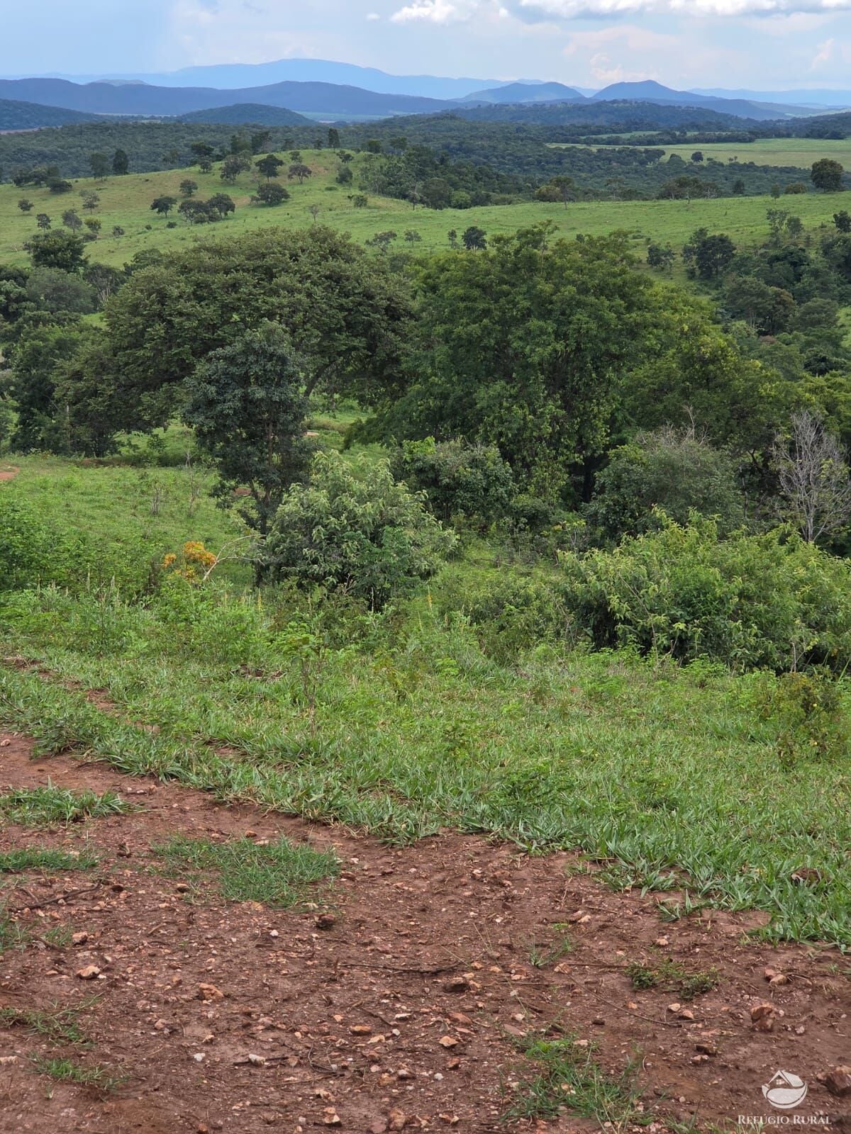 Fazenda, 363 hectares - Foto 40
