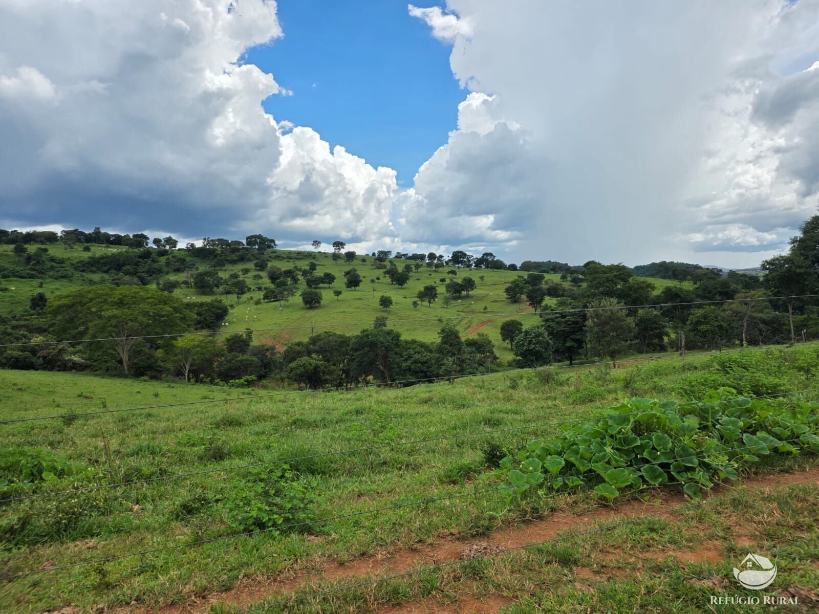 Fazenda, 363 hectares - Foto 33