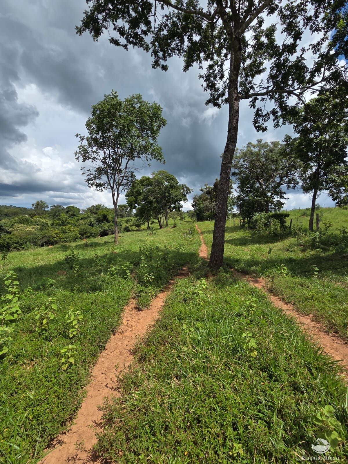 Fazenda, 363 hectares - Foto 20