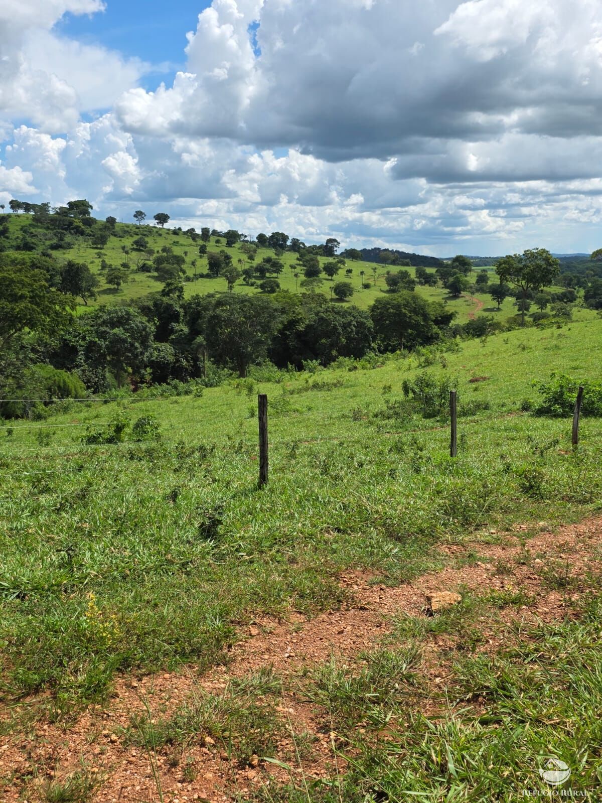 Fazenda, 363 hectares - Foto 31
