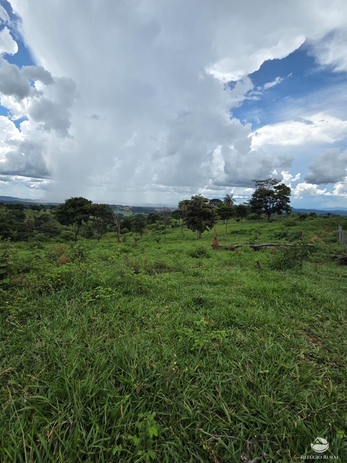Fazenda, 363 hectares - Foto 15