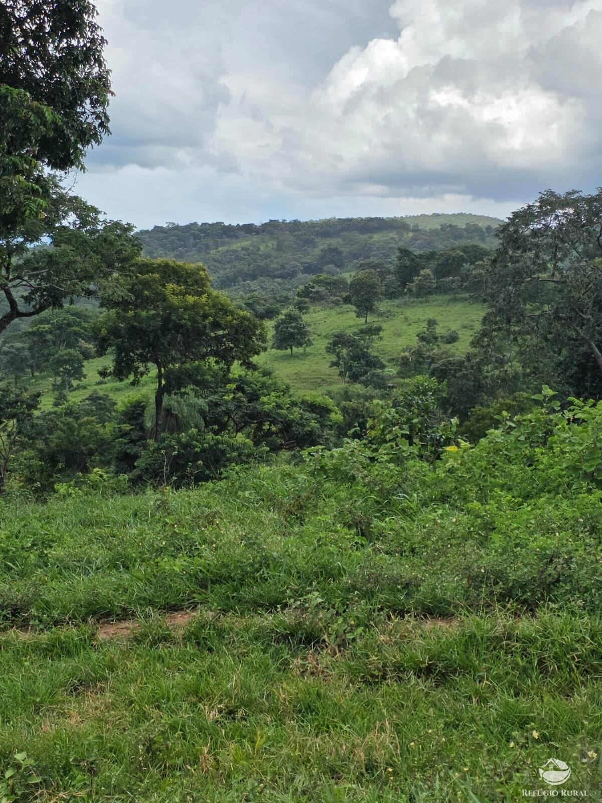 Fazenda, 363 hectares - Foto 18