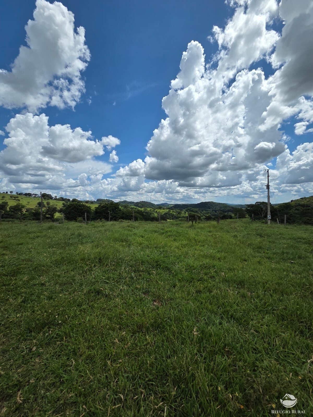 Fazenda, 363 hectares - Foto 4