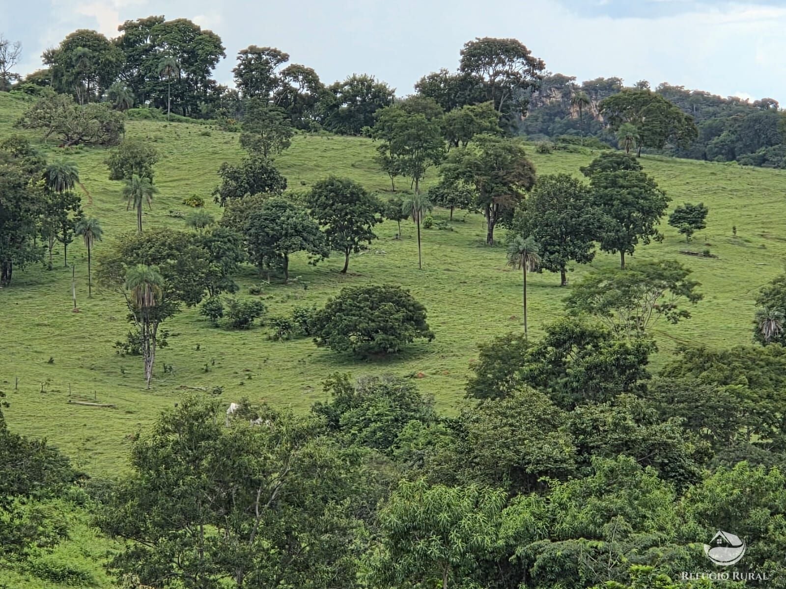 Fazenda, 363 hectares - Foto 26