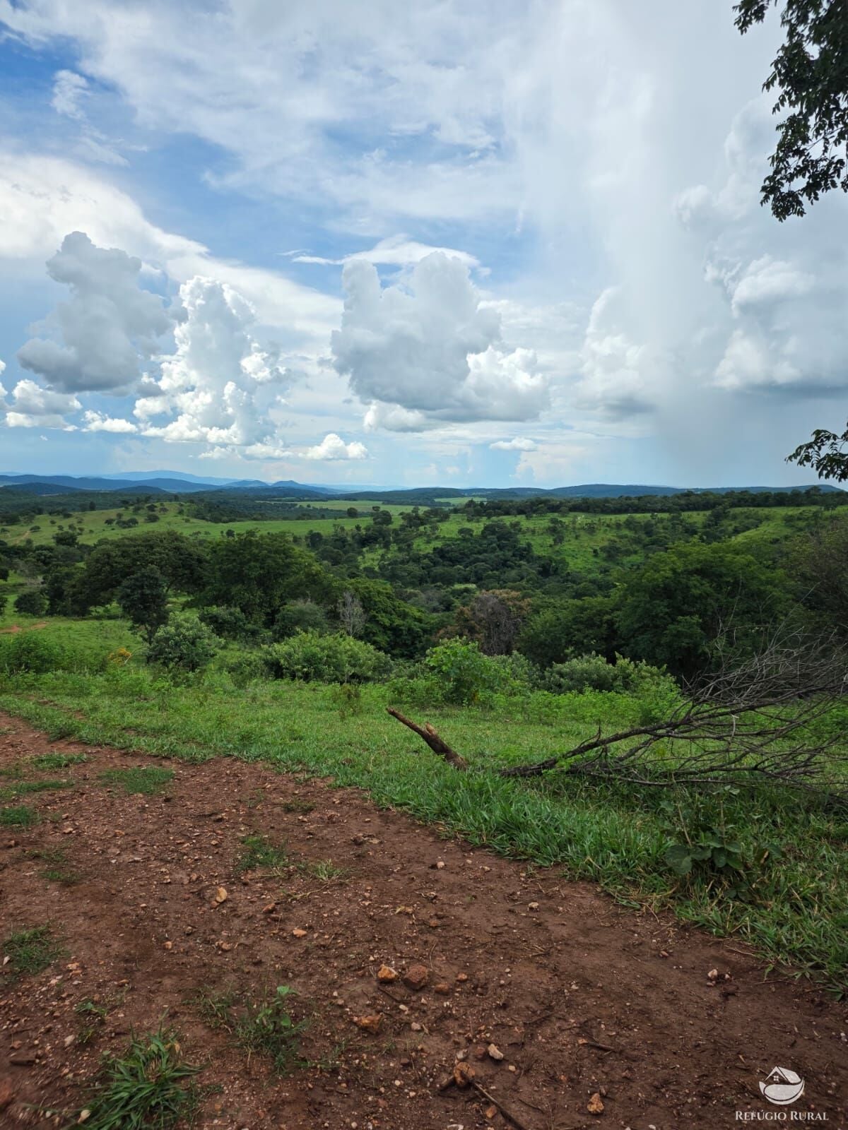 Fazenda, 363 hectares - Foto 43