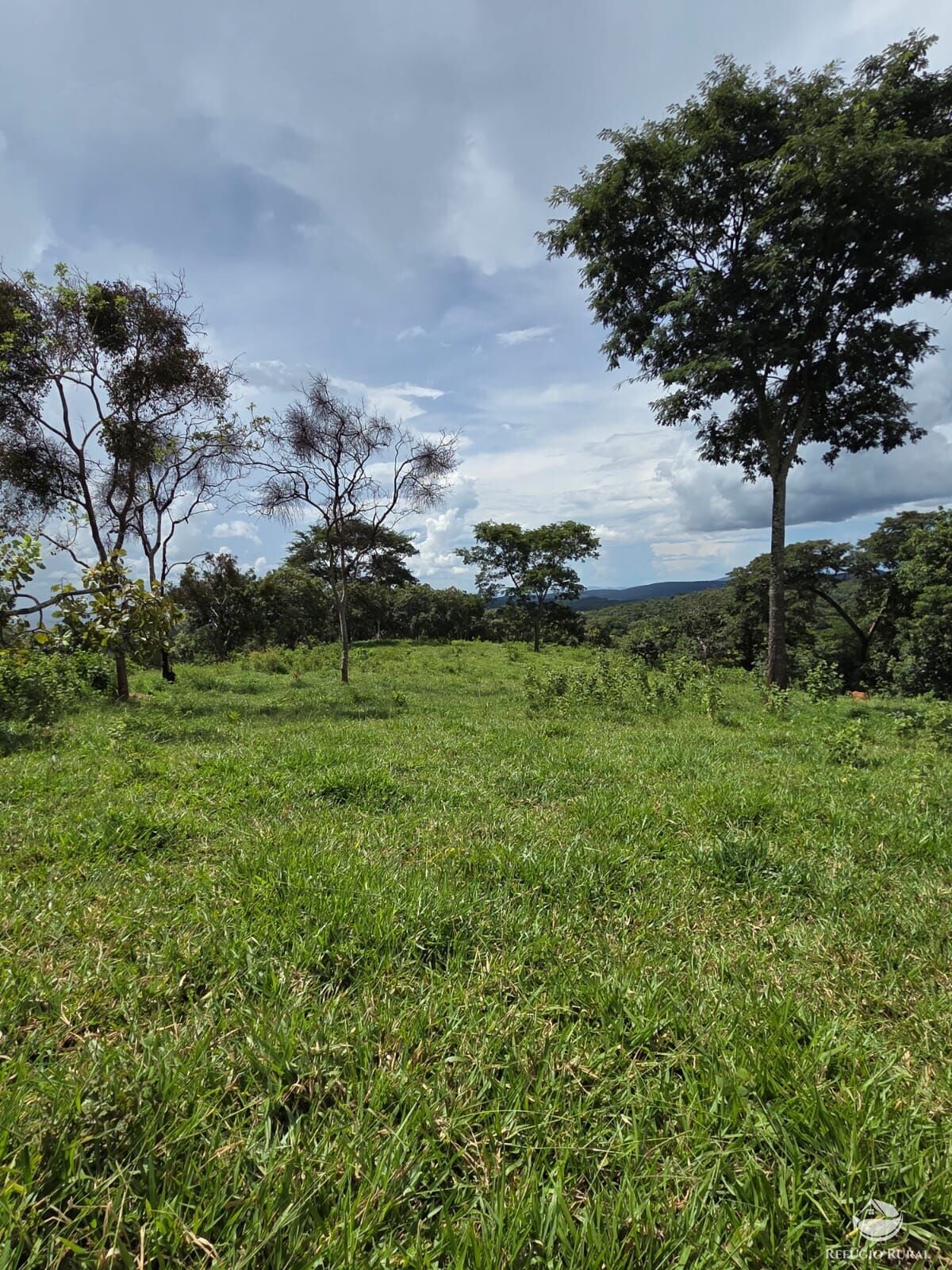Fazenda, 363 hectares - Foto 35