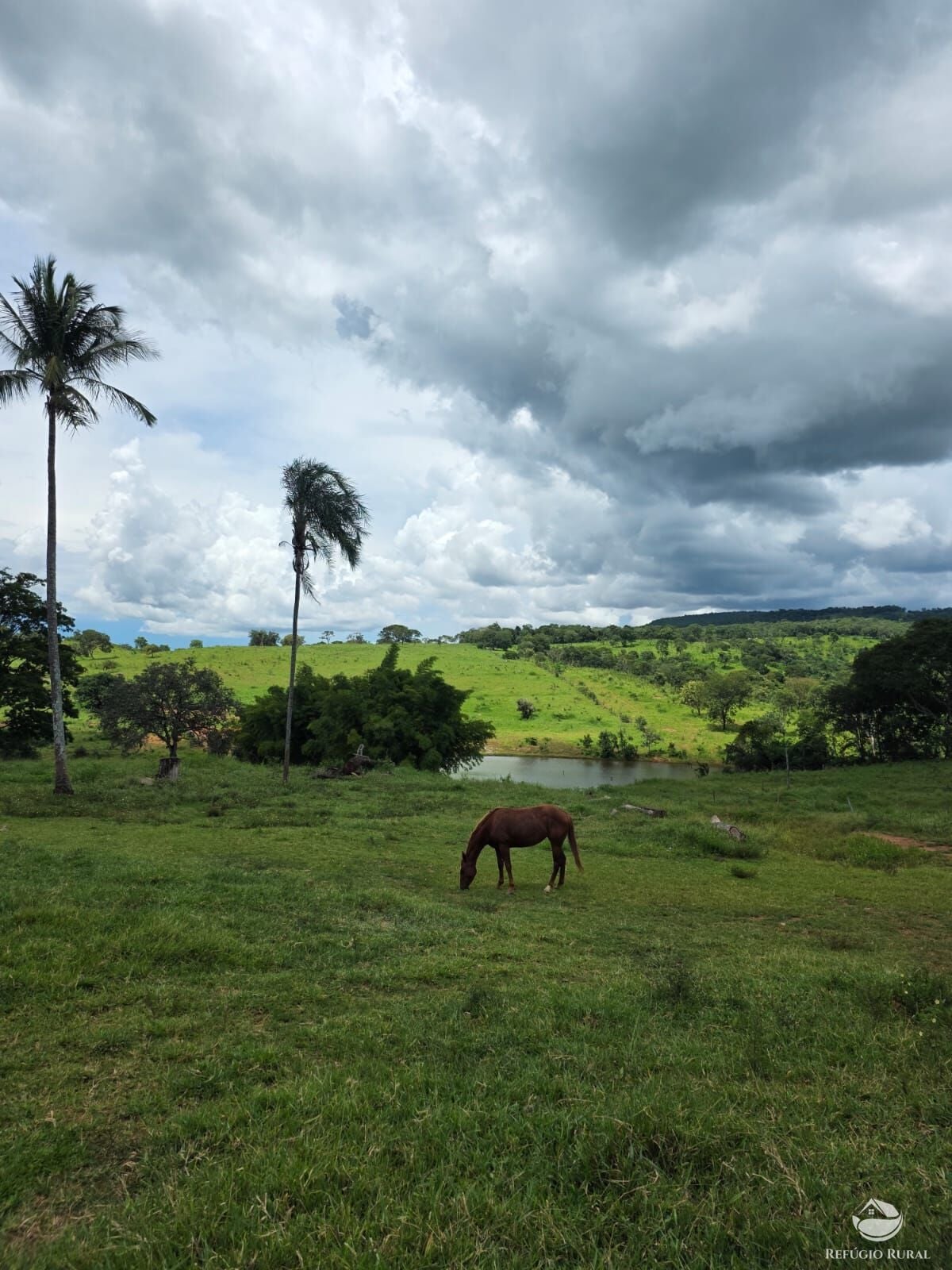 Fazenda, 363 hectares - Foto 28