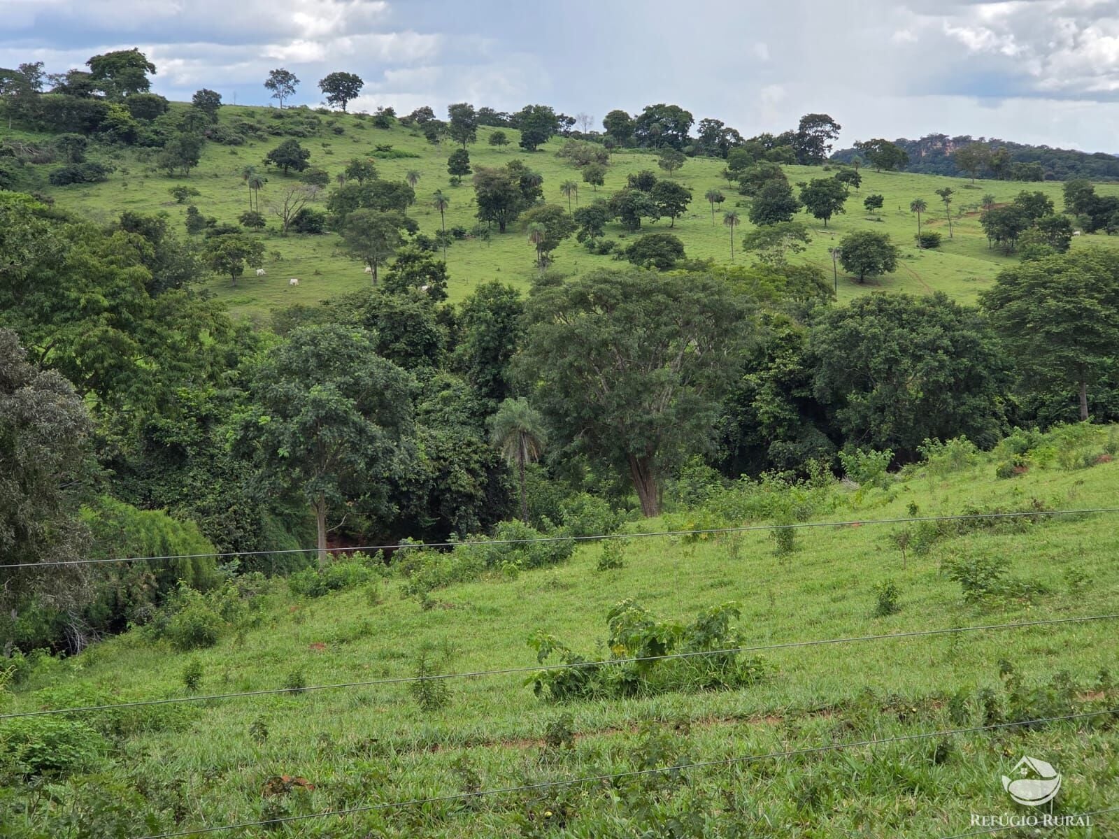 Fazenda, 363 hectares - Foto 12