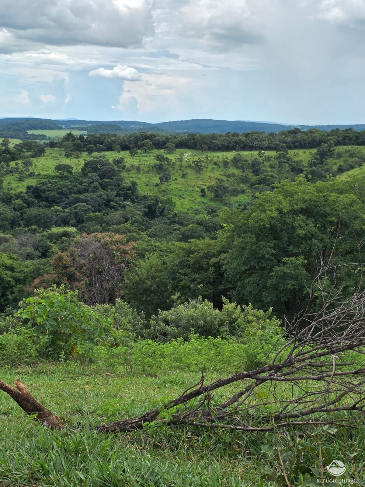 Fazenda, 363 hectares - Foto 42