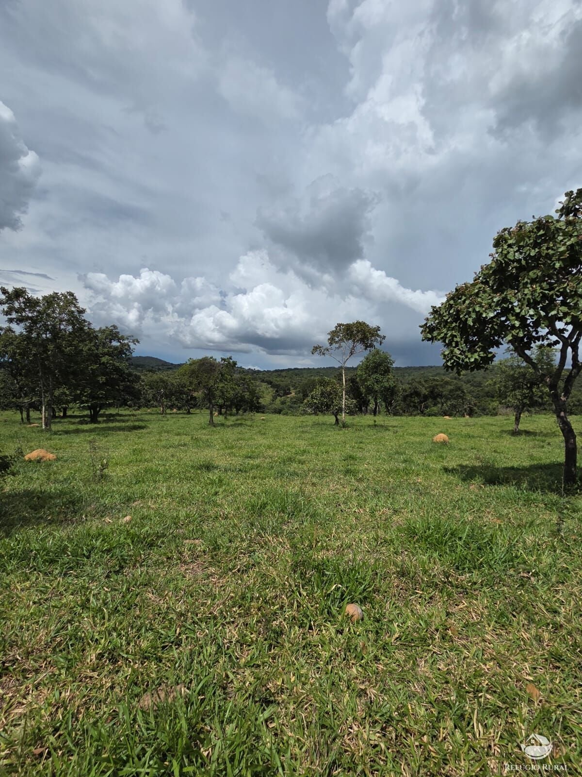 Fazenda, 363 hectares - Foto 41