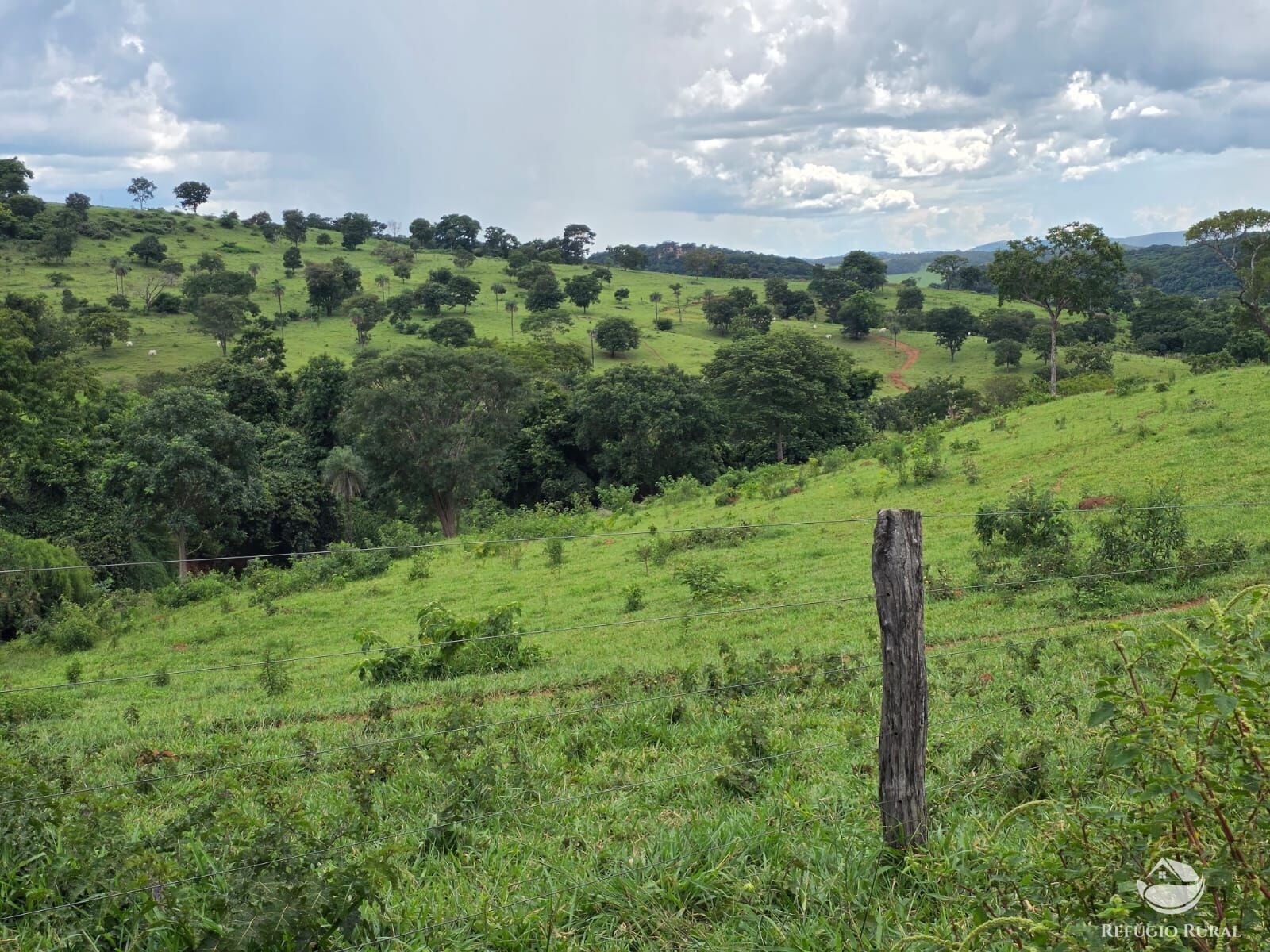 Fazenda, 363 hectares - Foto 23