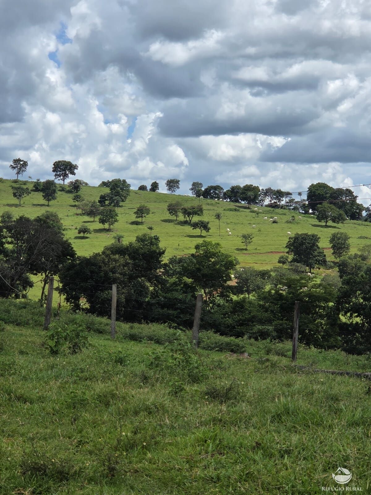 Fazenda, 363 hectares - Foto 37
