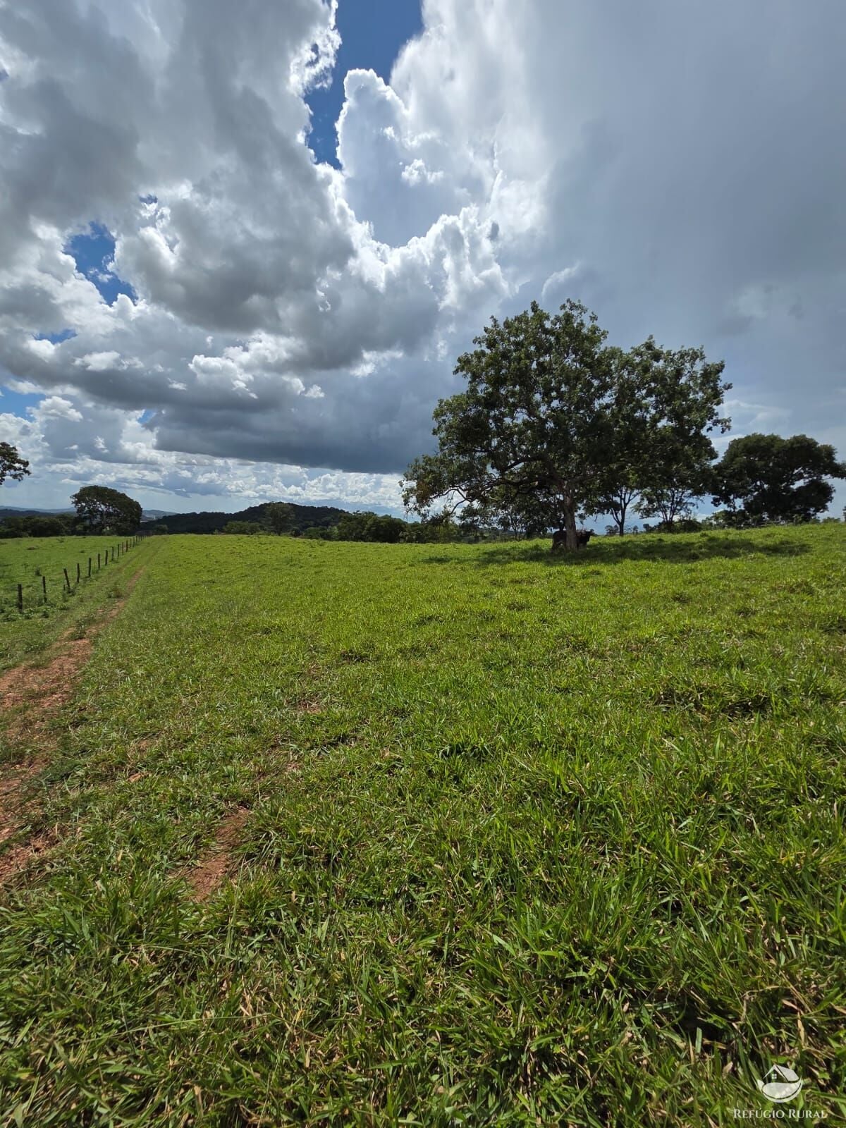 Fazenda, 363 hectares - Foto 38