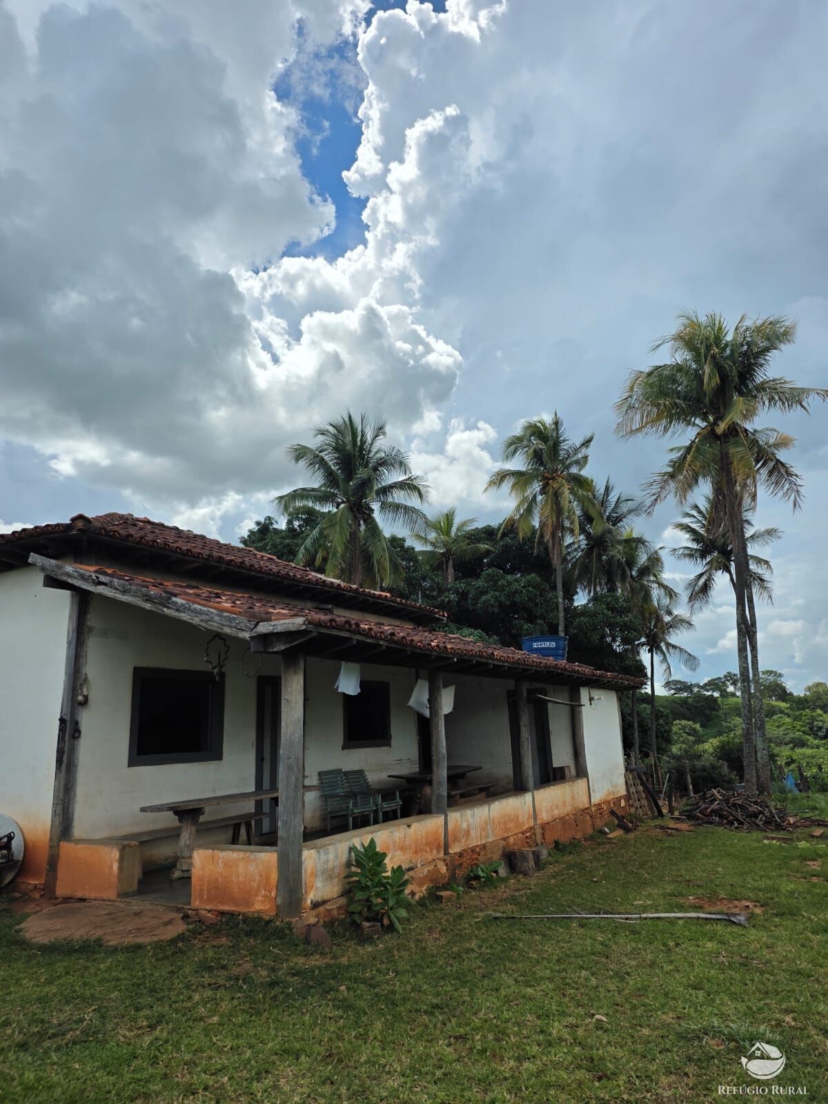 Fazenda, 363 hectares - Foto 24
