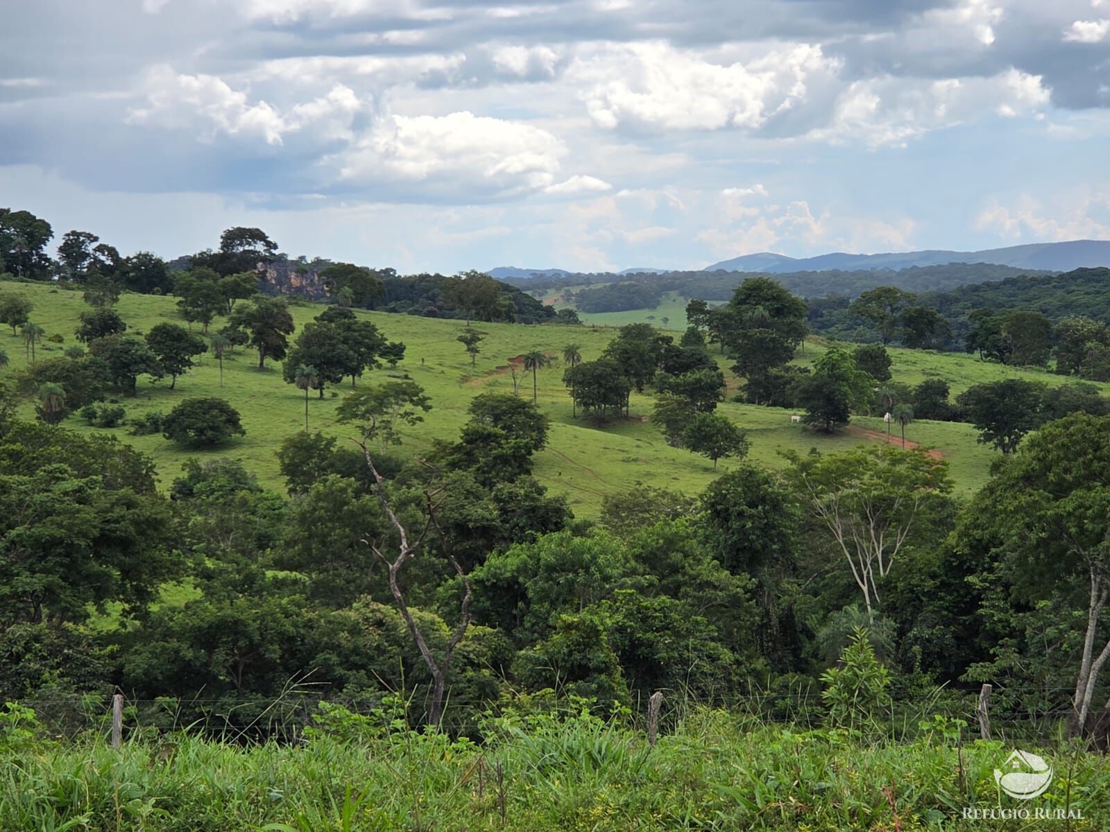 Fazenda, 363 hectares - Foto 6