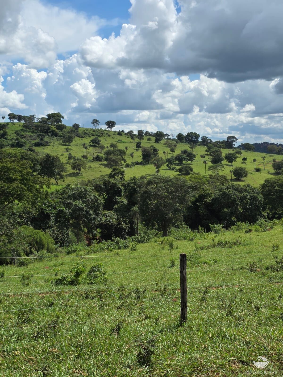 Fazenda, 363 hectares - Foto 16
