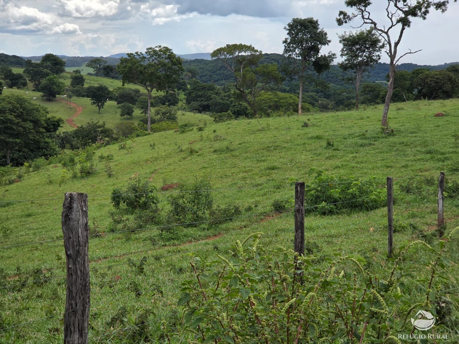 Fazenda, 363 hectares - Foto 36