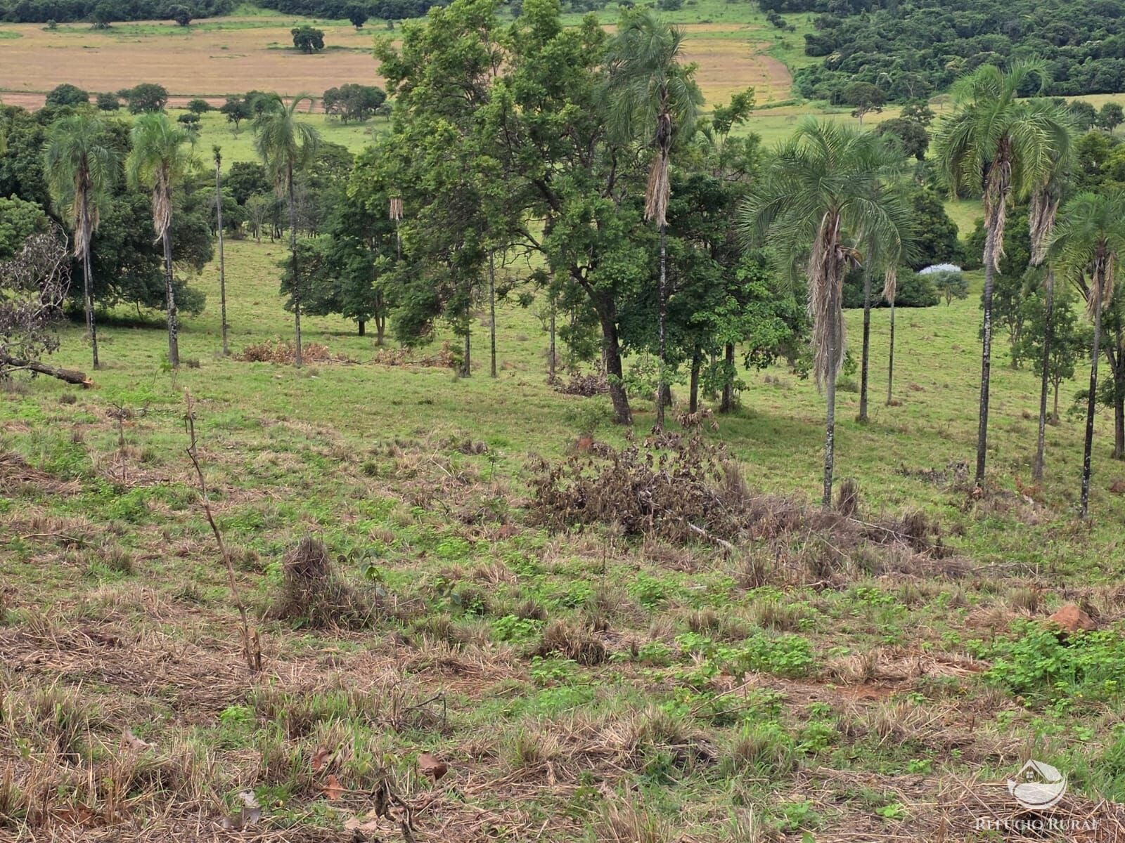 Fazenda, 363 hectares - Foto 22