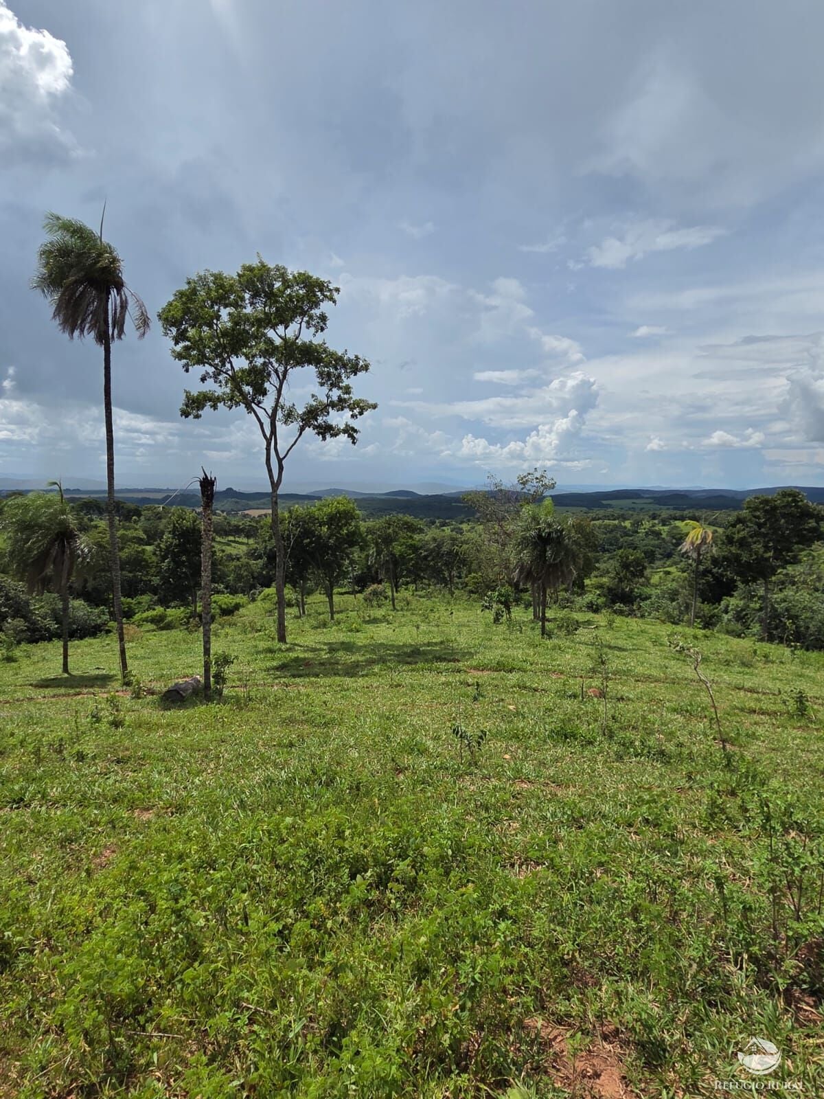 Fazenda, 363 hectares - Foto 14