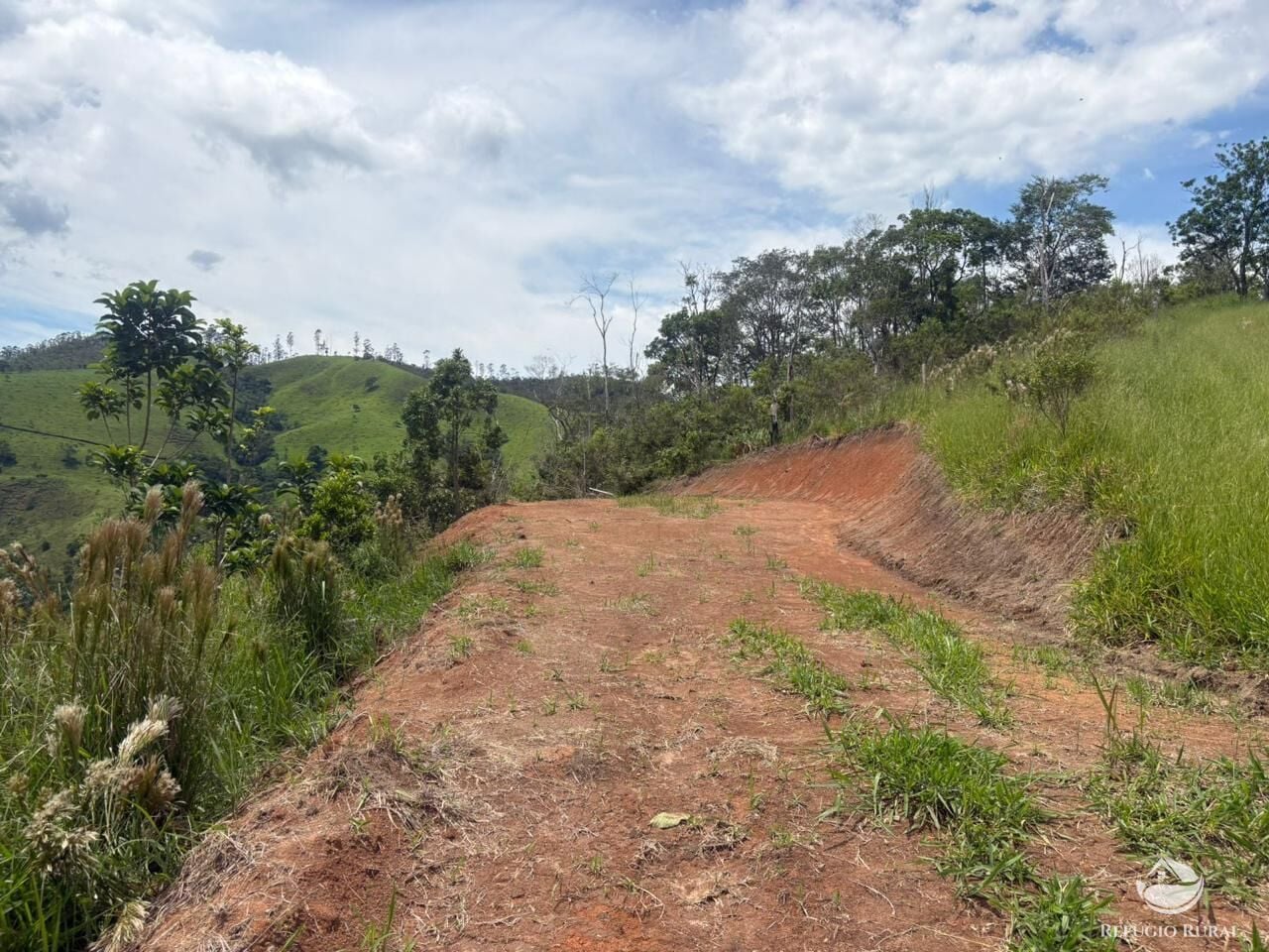 Terreno, 10000 m² - Foto 11