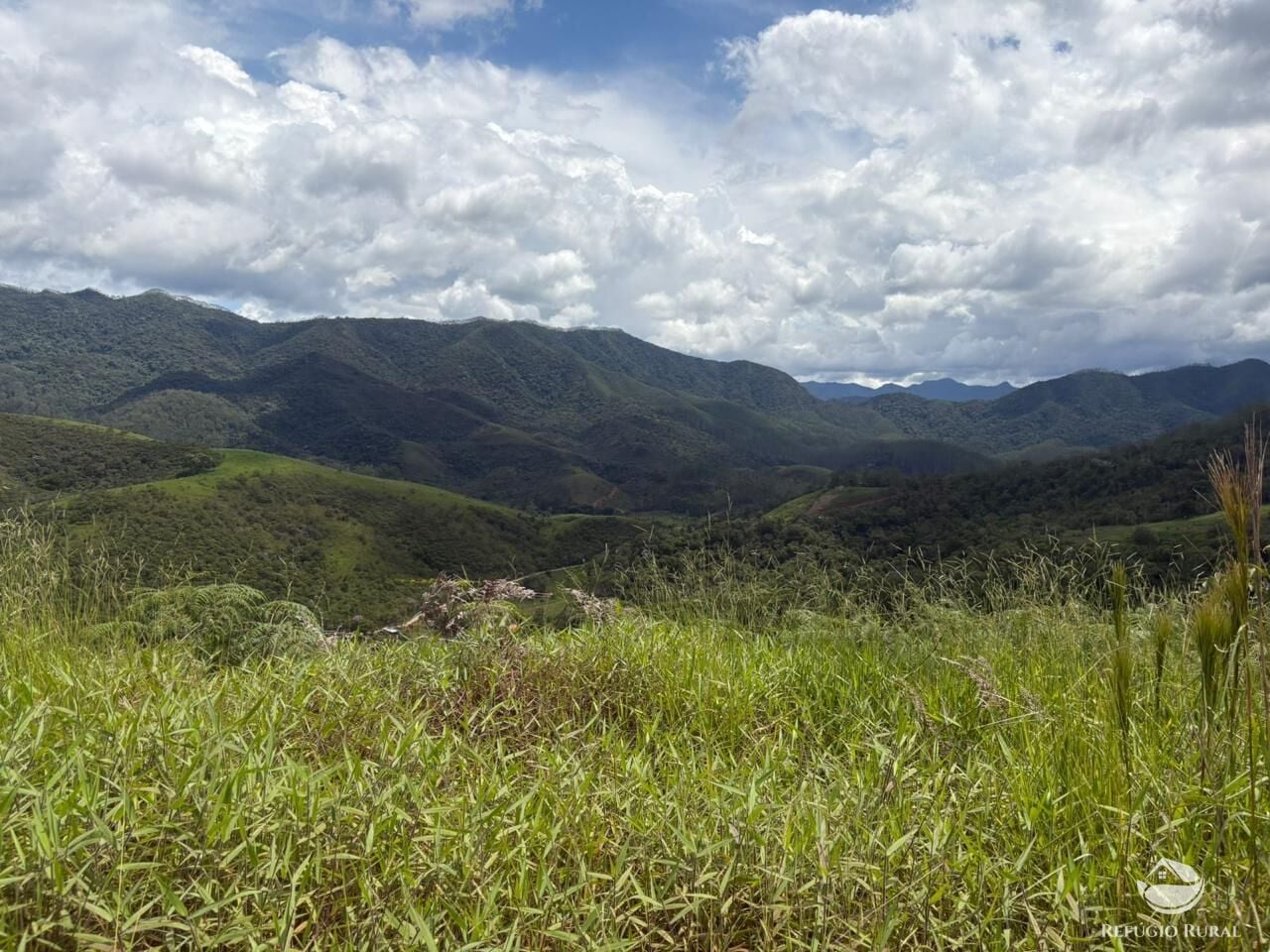 Terreno, 10000 m² - Foto 7