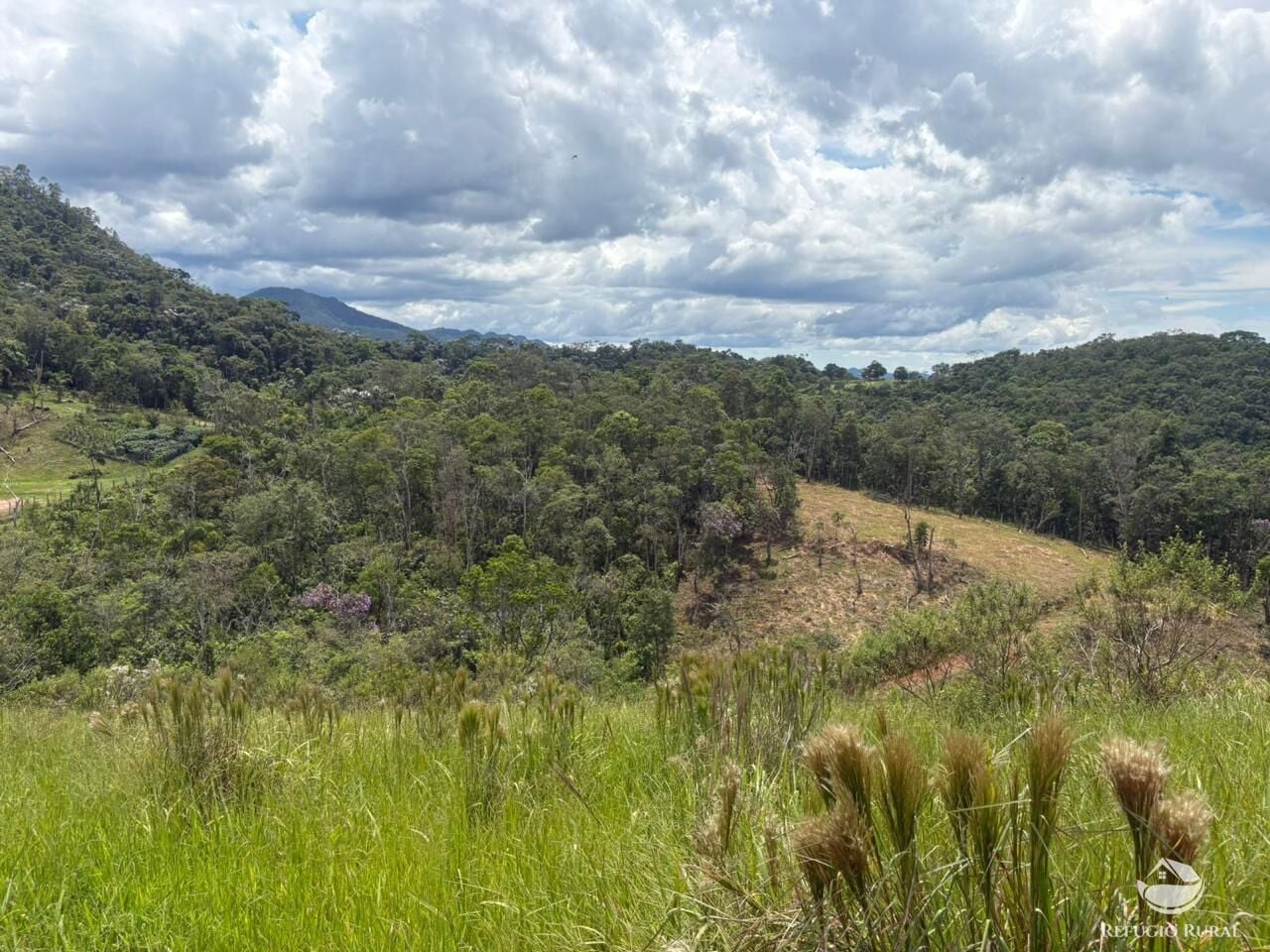 Terreno, 10000 m² - Foto 4