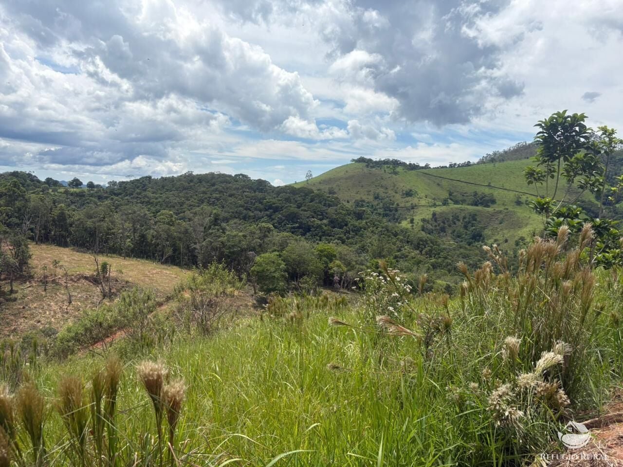 Terreno, 10000 m² - Foto 5