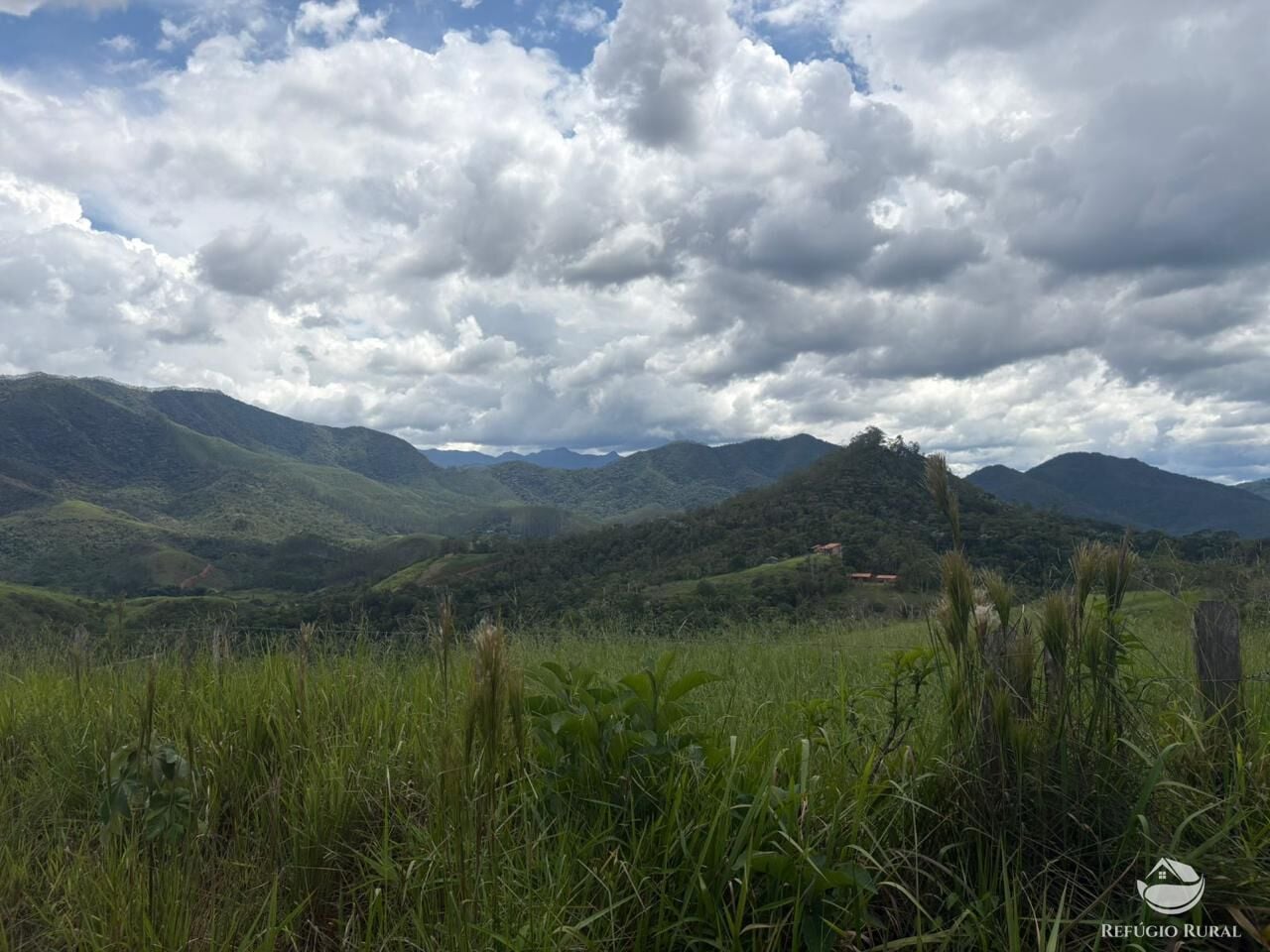 Terreno, 10000 m² - Foto 10