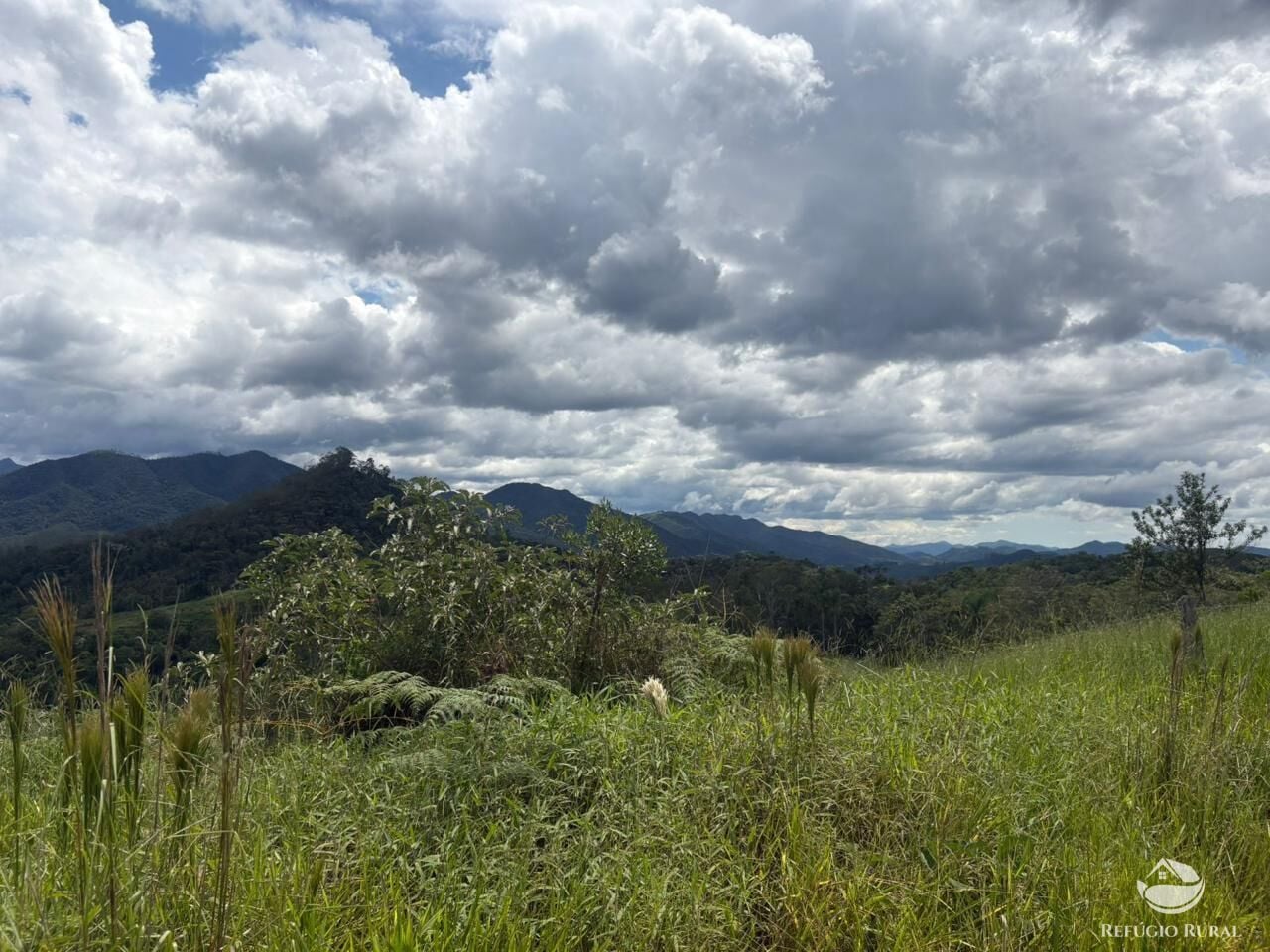 Terreno, 10000 m² - Foto 6