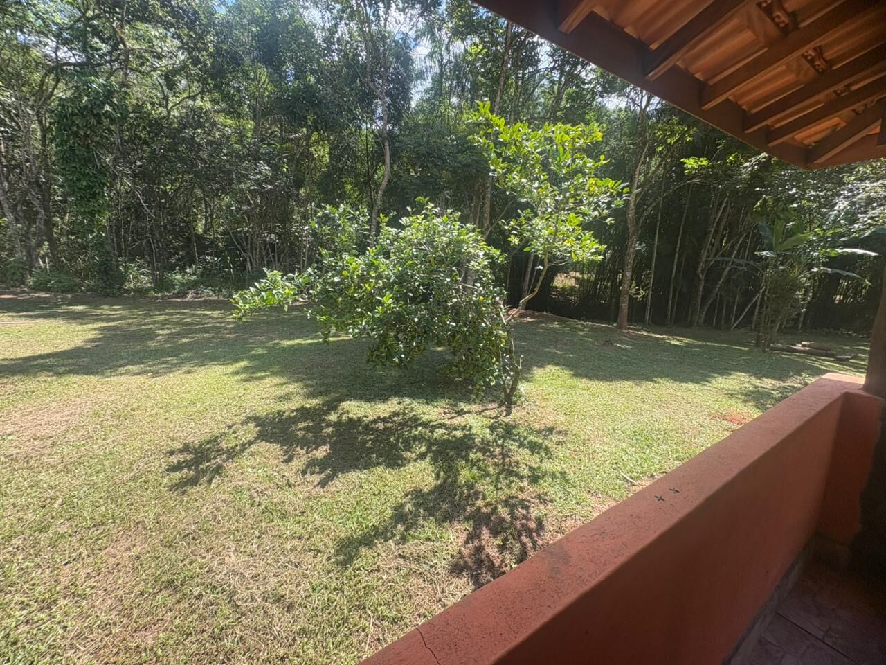Sítio, 2 hectares - Foto 15