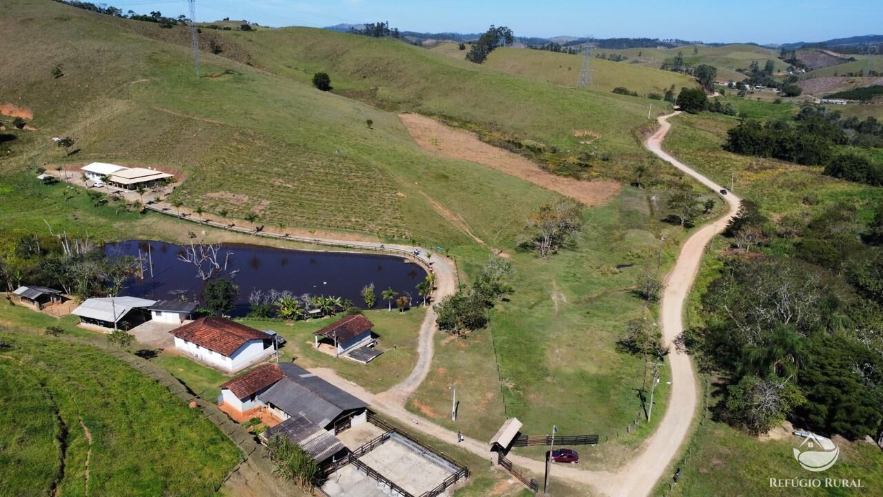 Fazenda, 165 hectares - Foto 13