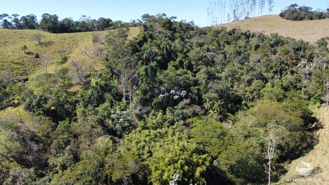 Fazenda, 165 hectares - Foto 8