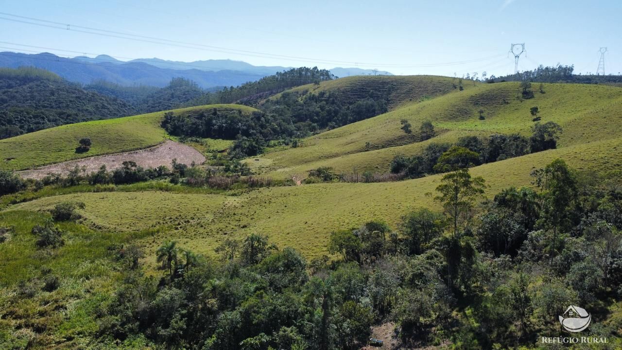 Fazenda, 165 hectares - Foto 6