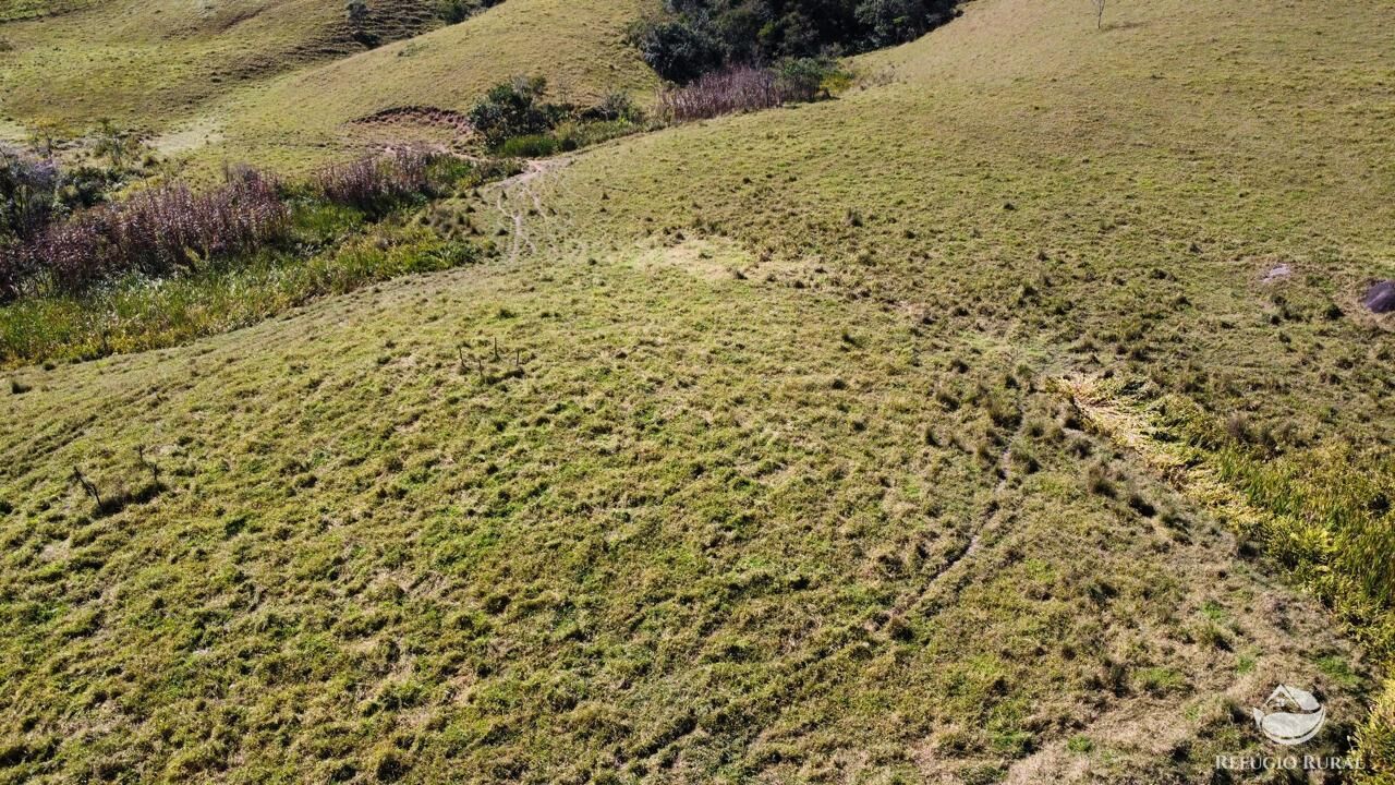 Fazenda, 165 hectares - Foto 10