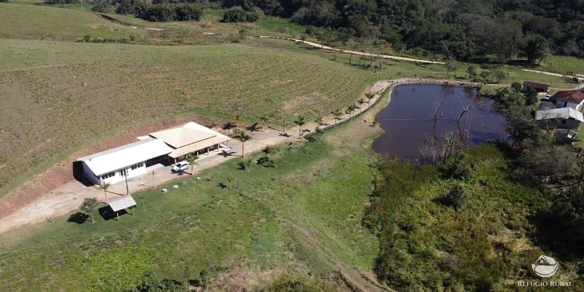 Fazenda, 165 hectares - Foto 7