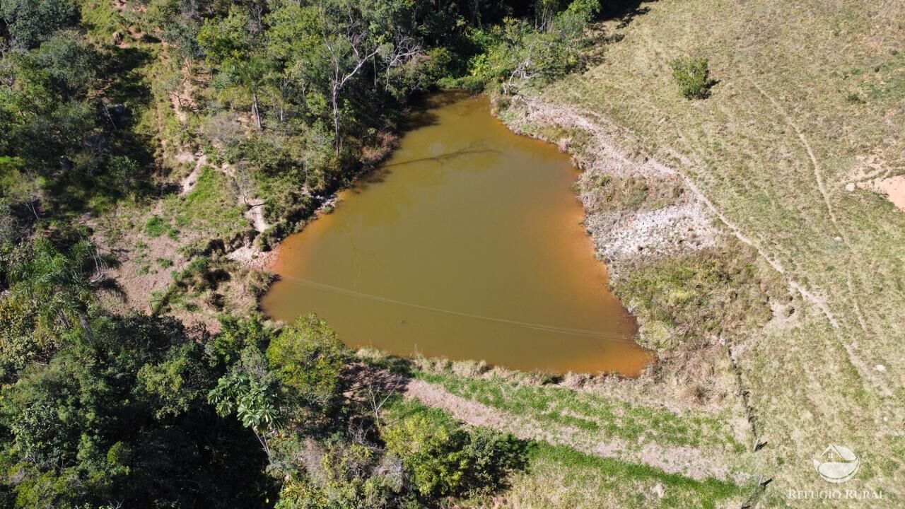 Fazenda, 165 hectares - Foto 9