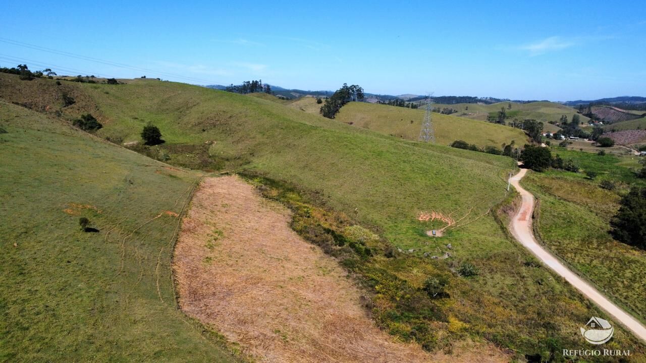 Fazenda, 165 hectares - Foto 14